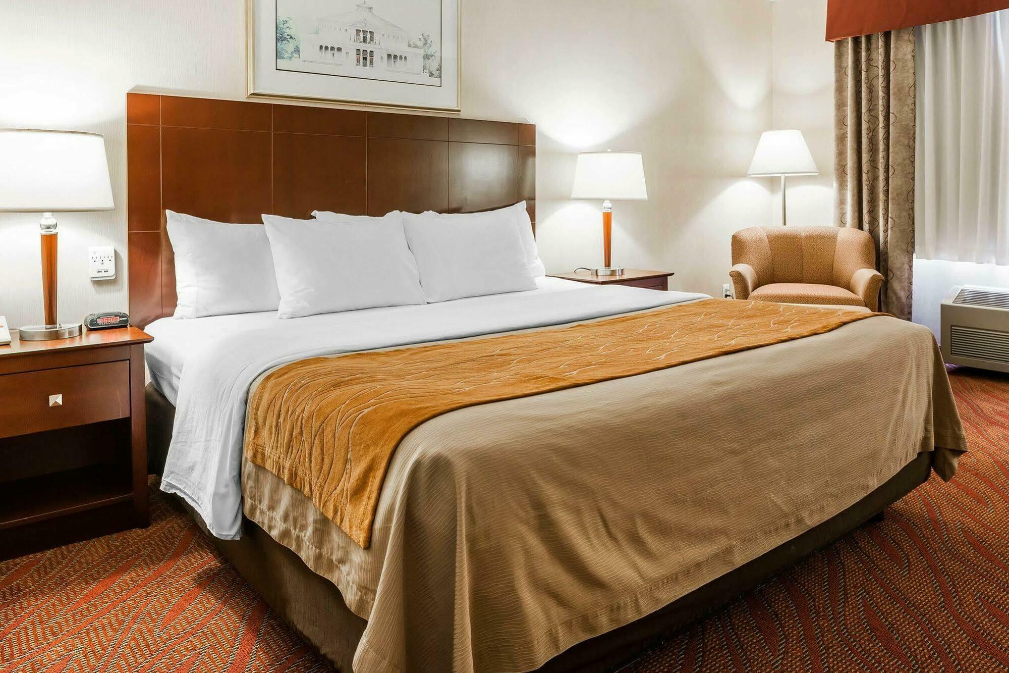 Comfort Inn & Suites Kelso - Longview Dış mekan fotoğraf